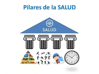 Pilares de la salud.