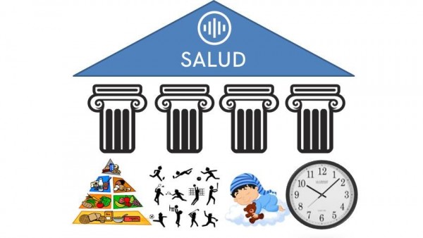 Pilares de la salud. Pilares de la salud.