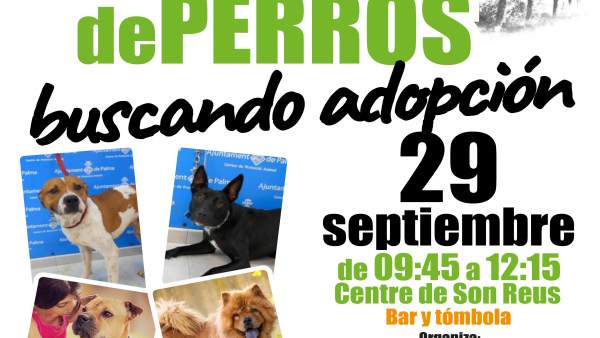 Cartel desfile de perros buscando adopción Cartel desfile de perros buscando adopción