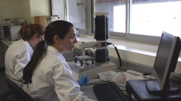 Investigador Cicytex Investigador Cicytex