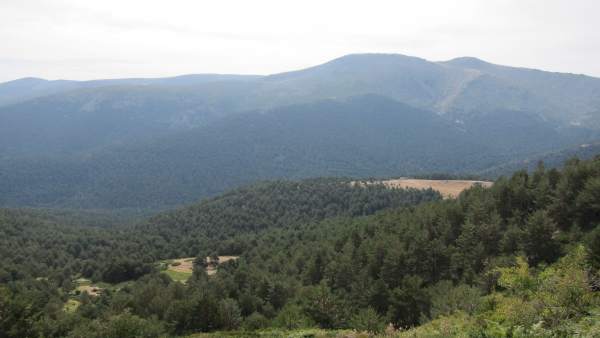 Parque Nacional de la Sierra de Guadarrama Parque Nacional de la Sierra de Guadarrama