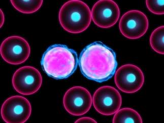 Leucemia