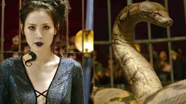Nagini Nagini