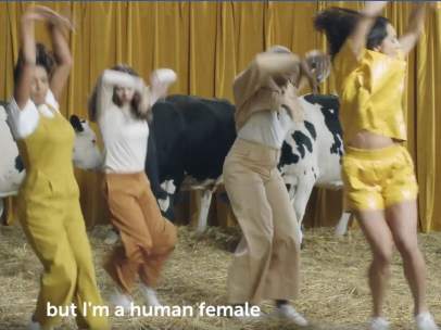 Anuncio vacas