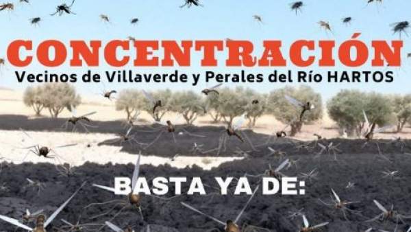 Concentración Concentración