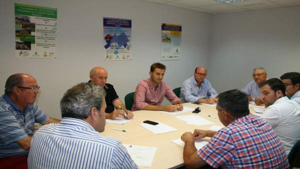 Reunión de la sectorial del cultivo del ajo Reunión de la sectorial del cultivo del ajo