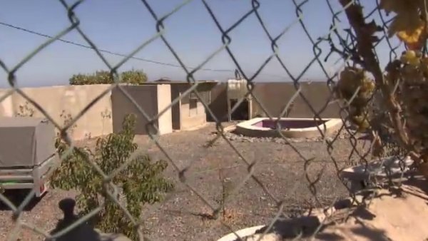 Finca donde un bebé murió atacado por un perro Finca donde un bebé murió atacado por un perro