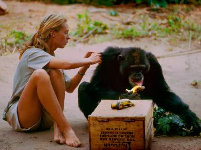 Jane Goodall