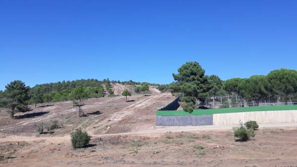 Trabajos preventivos en el entorno del centro de cría del lince La Olivilla. Trabajos preventivos en el entorno del centro de cría del lince La Olivilla.