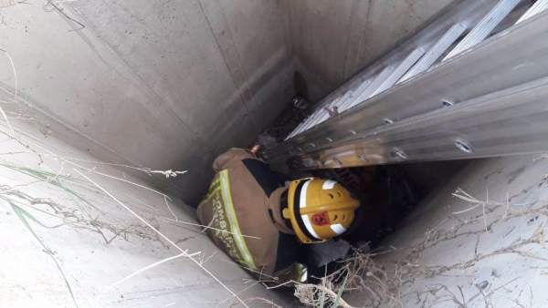 Un bombero accede a rescatar al perro en el pozo Un bombero accede a rescatar al perro en el pozo