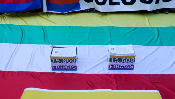 Concentración de 'Todos a una por Linares' ante el Palacio de San Telmo. Concentración de 'Todos a una por Linares' ante el Palacio de San Telmo.
