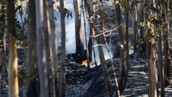 El incendio forestal de Mondariz (Pontevedra) El incendio forestal de Mondariz (Pontevedra)