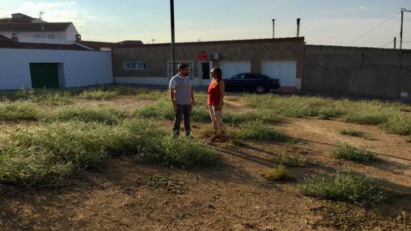 Visita a la plaza Cabo Navas Visita a la plaza Cabo Navas