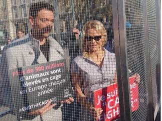 Pamela Anderson se encierra en una jaula