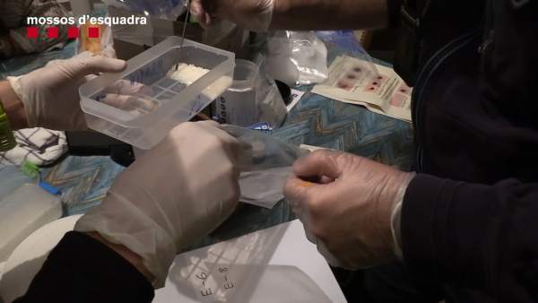 Droga intervenida por los Mossos d'Esquadra en Barcelona Droga intervenida por los Mossos d'Esquadra en Barcelona