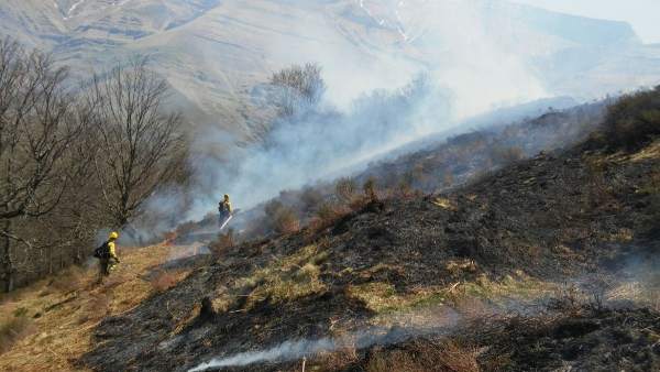 Incendio forestal Incendio forestal