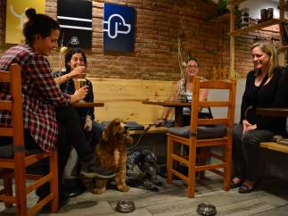 Bar de perros de Barcelona