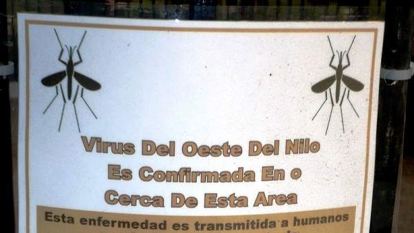 Virus del Nilo Virus del Nilo