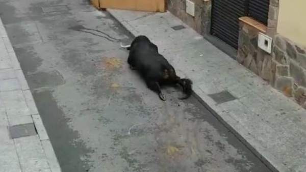 Mejorada Mejorada