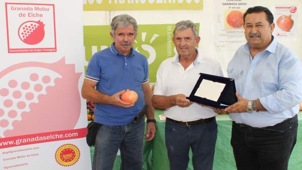 Elección de la granada mollar más ideal de Elche 2018 Elección de la granada mollar más ideal de Elche 2018