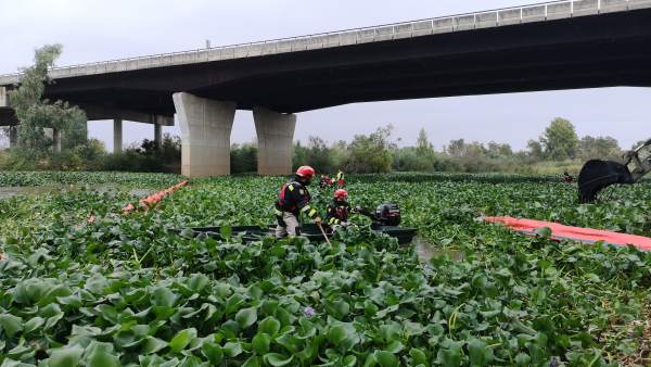 La UME retira el camalote en Badajoz La UME retira el camalote en Badajoz