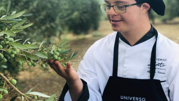 Un trabajador de Universo Santi en el olivar de Grupo Oleíca Jaén Un trabajador de Universo Santi en el olivar de Grupo Oleíca Jaén