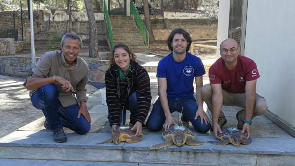 Tortugas liberadas en Murcia marcadas con satélite Tortugas liberadas en Murcia marcadas con satélite