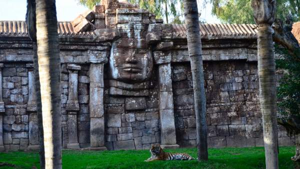 Templo Angkor de Bioparc Fuengirola Templo Angkor de Bioparc Fuengirola