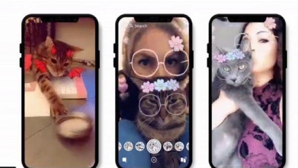 Filtros para gatos en Snapchat Filtros para gatos en Snapchat