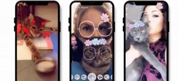 Filtros para gatos en Snapchat