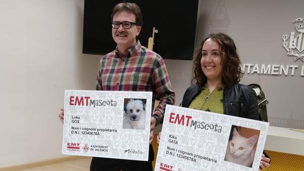 Las mascotas podrán viajar en los buses de la EMT de València Las mascotas podrán viajar en los buses de la EMT de València