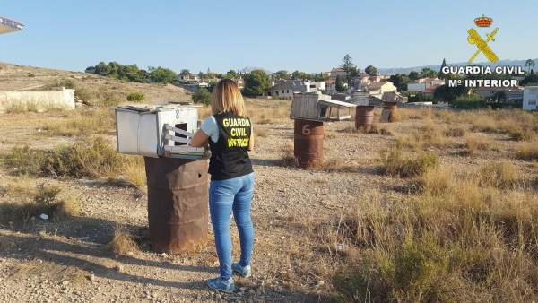Desarticulado un grupo especializado en secuestrar palomos Desarticulado un grupo especializado en secuestrar palomos