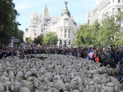 La fiesta de la Trashumancia en Madrid