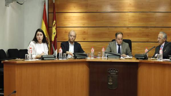 Comparecencia en Cortes Comisión Discapacidad FASPAS Comparecencia en Cortes Comisión Discapacidad FASPAS