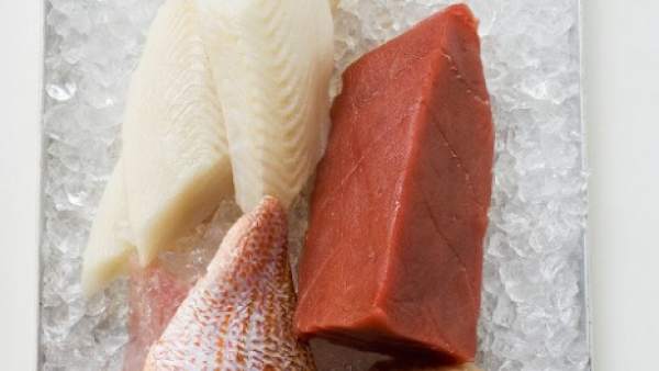 Atún y otros pescados. Atún y otros pescados.
