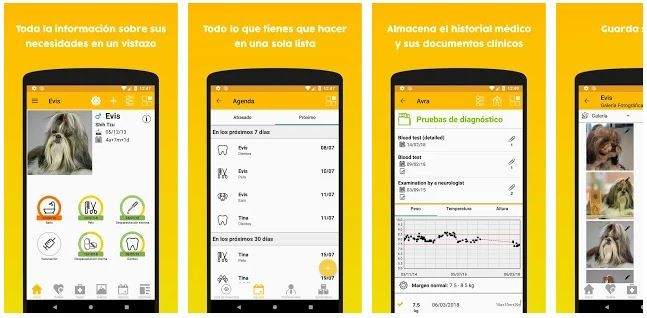 11 Pets La aplicación '11 Pets' guarda el historial clínico veterinario de tu mascota en el móvil.