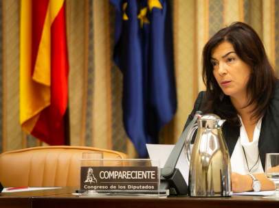 María José Rienda en el Congreso de los Diputados