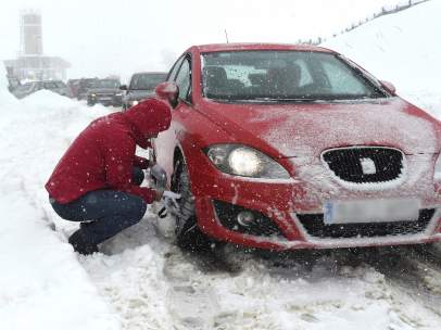 Nieve