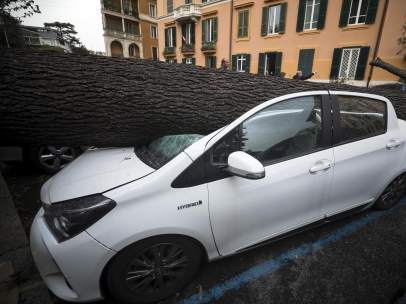 Coche aplastado