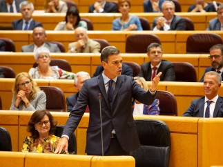 Pedro Sánchez durante una sesión de control al Gobierno en el Senado