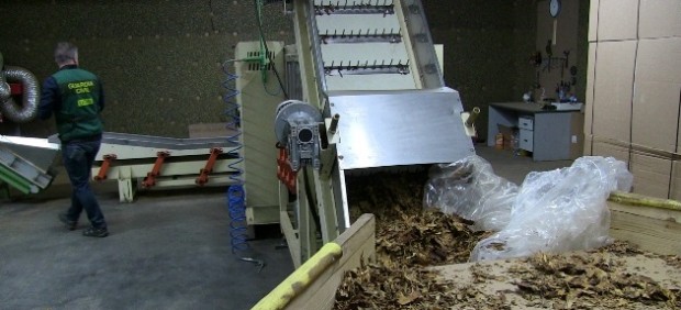 Desmanteladas 4 fábricas clandestinas de tabaco falsificado