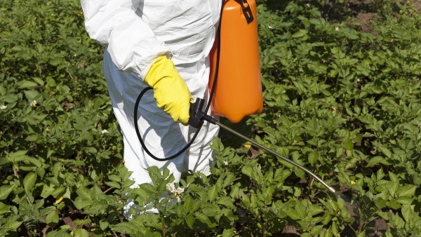 Pesticida Pesticida