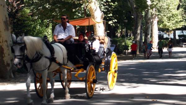 El parque de María Luisa El parque de María Luisa