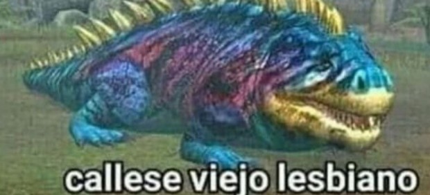 Meme 'Cállese, viejo lesbiano'