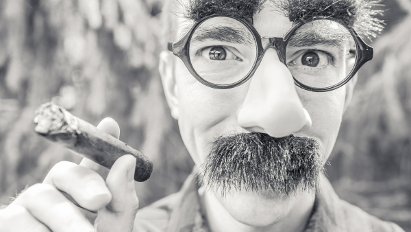 Movember: el mes de los bigotes Movember: el mes de los bigotes