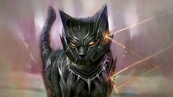 Black Panther convertido en gato Black Panther convertido en gato
