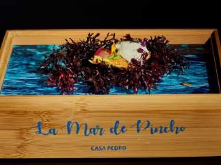 'La mar de pincho' gana el Concurso Nacional de Valladolid