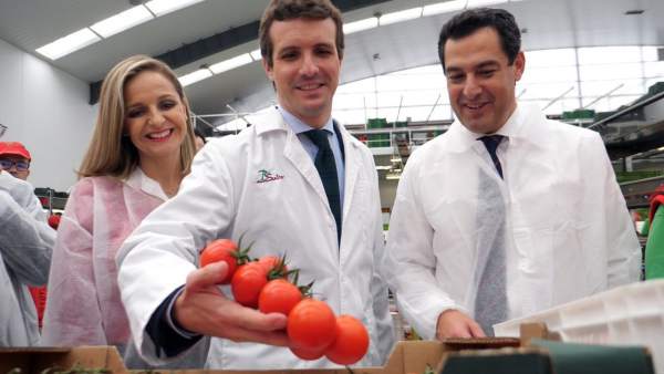 Maribel Sánchez, Pablo Casado y Juanma Moreno (PP) Maribel Sánchez, Pablo Casado y Juanma Moreno (PP)