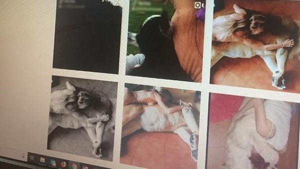 Una pareja usa un león para hacer fotos eróticas Una pareja usa un león para hacer fotos eróticas
