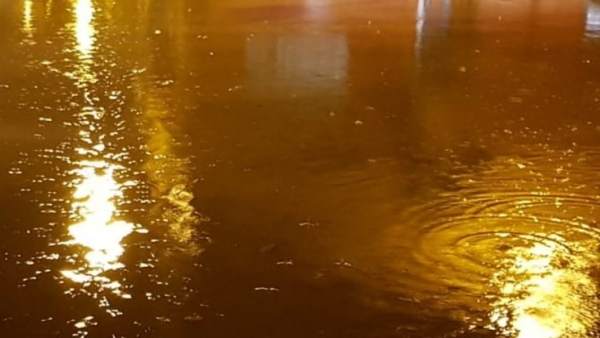 Les pluges deixen més de 535 l/m2 a Barx (València) i obliguen a suspendre les classes en 20 municipis Les pluges deixen més de 535 l/m2 a Barx (València) i obliguen a suspendre les classes en 20 municipis